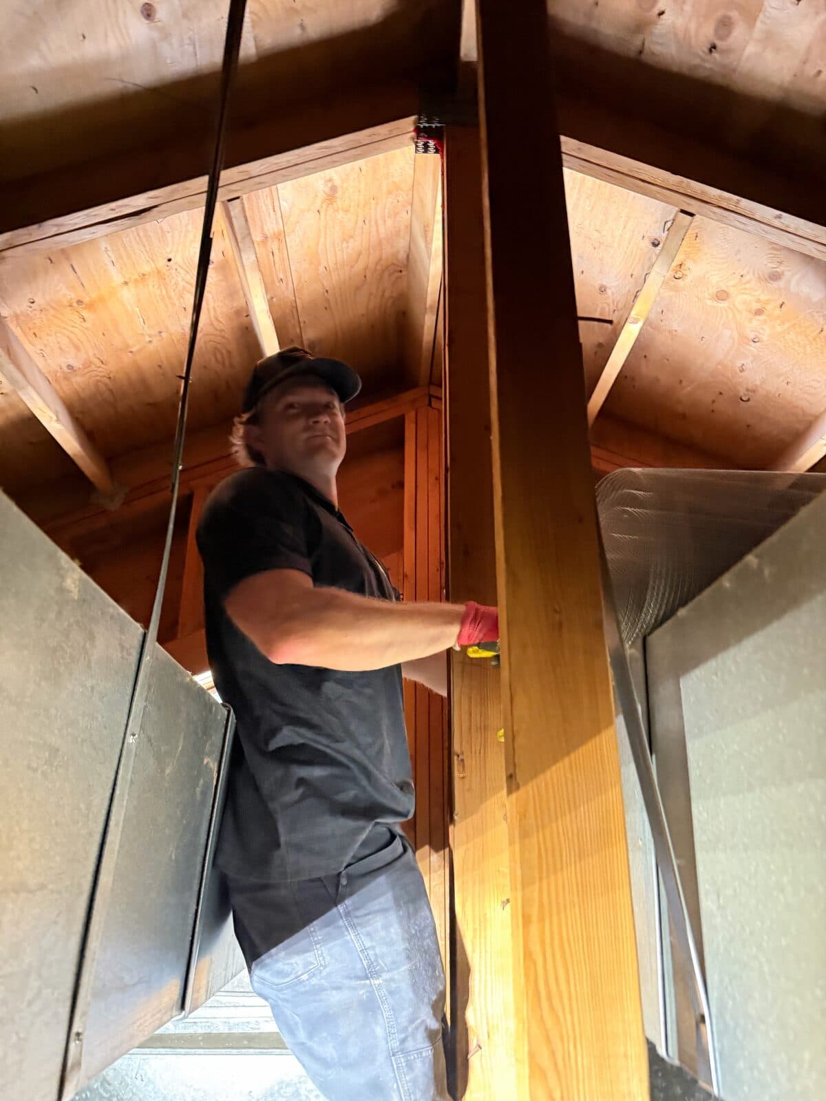 Technician inspecting an attic for bat activity and entry points