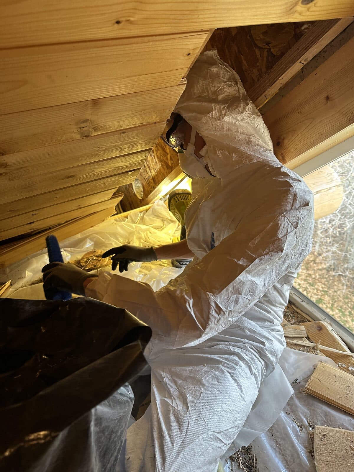 Technician in protective gear inspecting a contaminated attic