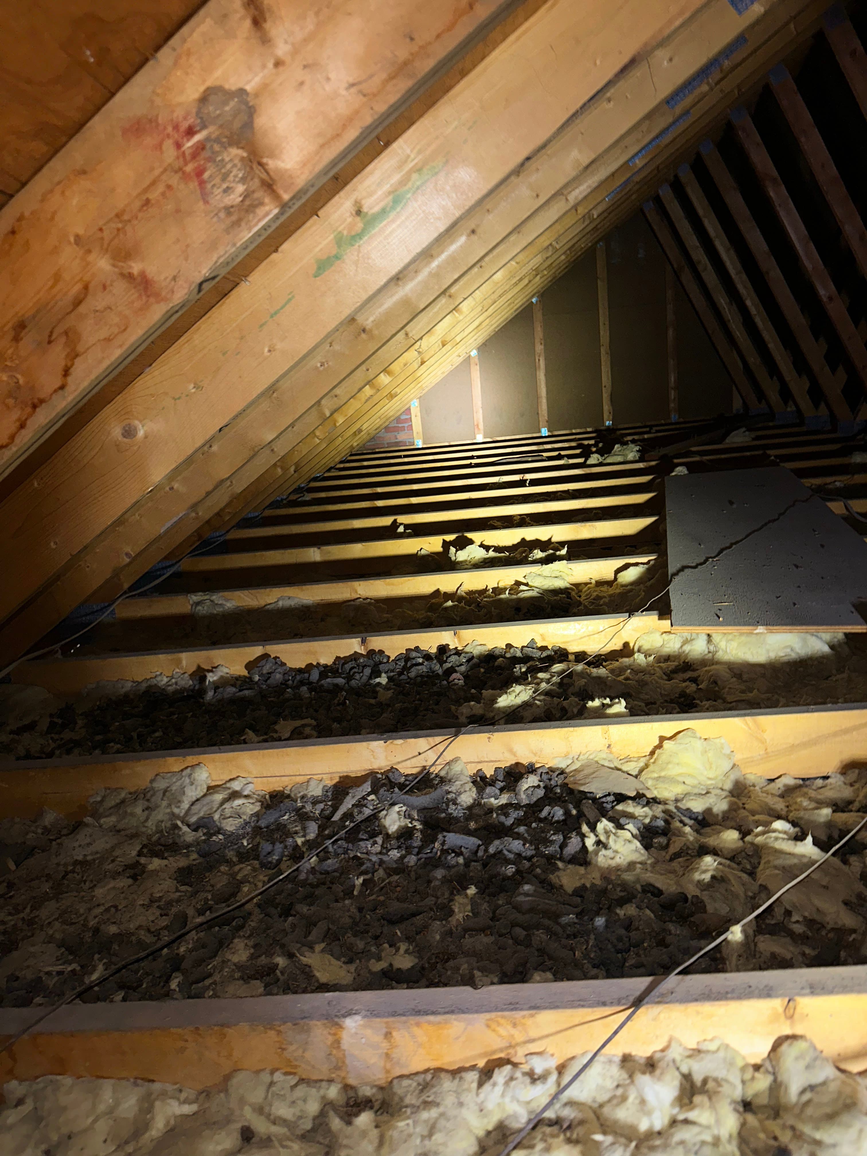 Bat guano accumulation under an attic roost